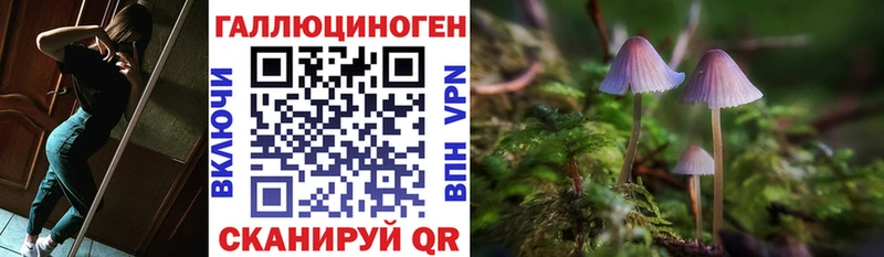 blacksprut ССЫЛКА  Порхов  Псилоцибиновые грибы ЛСД 